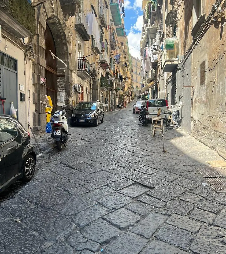 Casa Giulia Piazza Plebiscito Apartment Naples 0*,  Italy